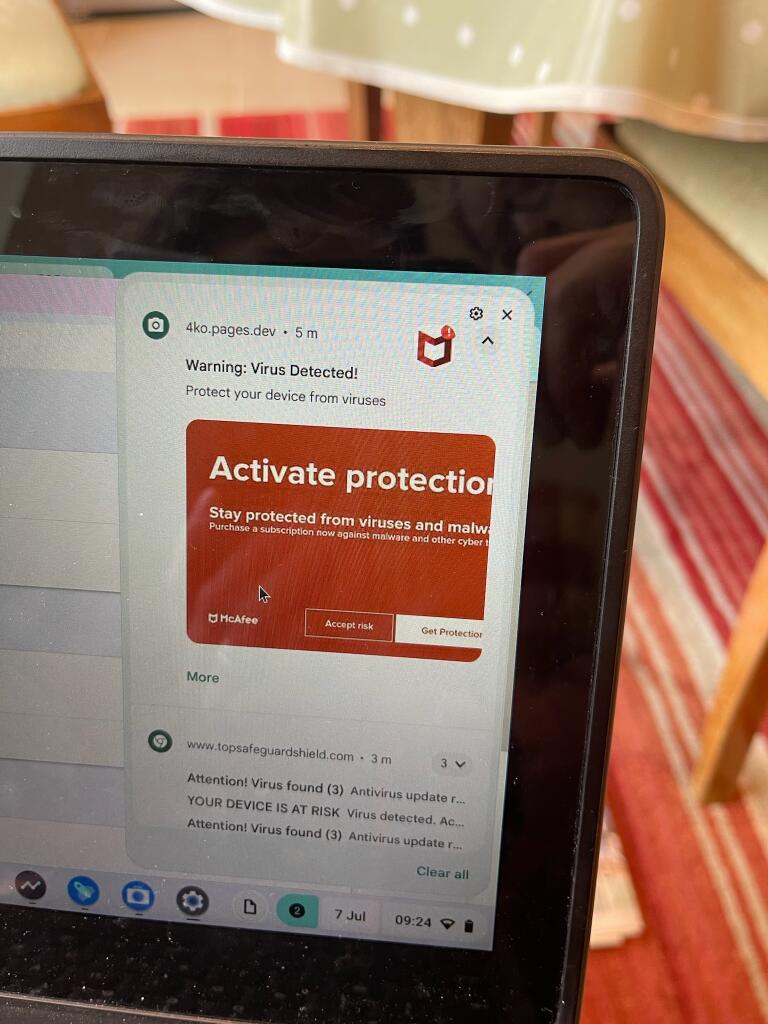 Photo of a Chromebook screen. On the right there are two notifications, suggesting that the machine has a virus. Each notification has a domain listed at the top of it.